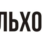 Ремонт шестеренчатых насосов Baumann, Ремонт шестерного насоса Baumann, Ремонт НШ Baumann